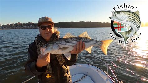 New to SF and striper fishing; in need of advice .
